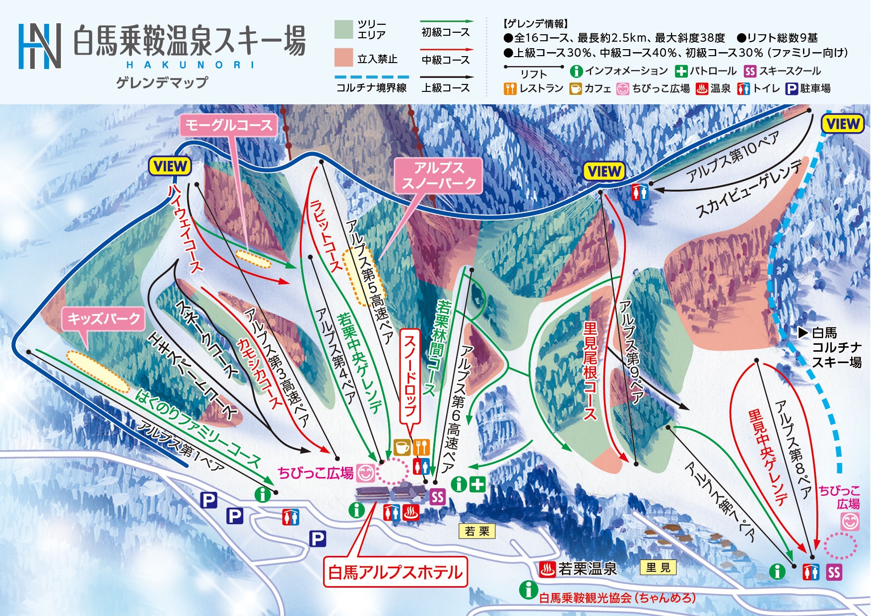 白馬コルチナのリフト券2枚セット - スキー場